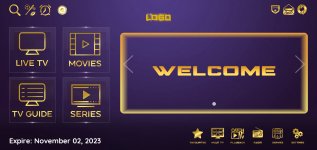 gold-purple.jpg